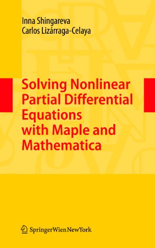Carlos Lizarraga-Cel - Solving Nonlinear Partial Differential Equation image 1