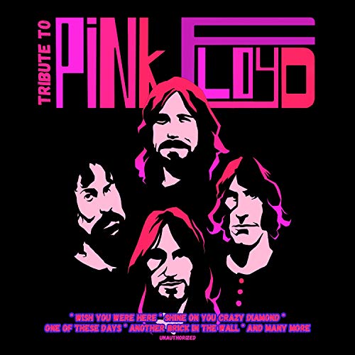 VARIOUS ARTISTS - TRIBUTE TO PINK FLOYD - CD image 2