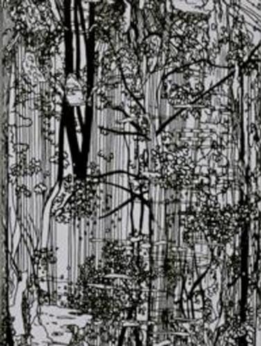 Ingo Giezendanner - Bucherwald - Hardback image 1