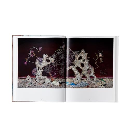Anj Smith - : Drifting Habitations - Hardback image 6