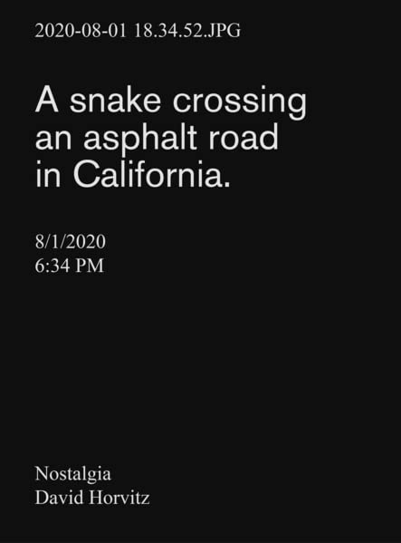 Nostalgia - Paperback image 1