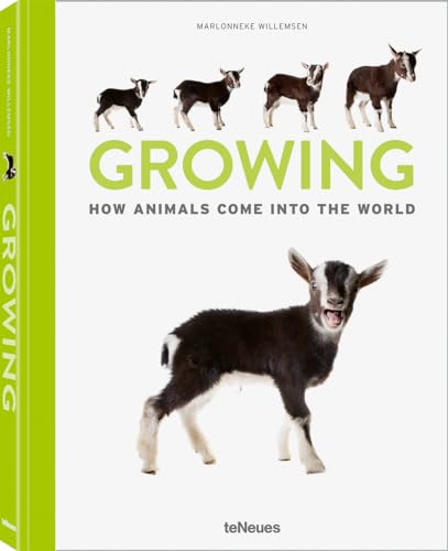 Marlonneke Willemsen - Growing : How animals come into our world - Har image 1