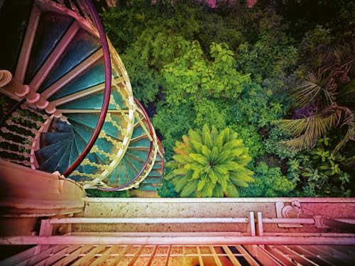 Werner Pawlok - Greenhouses : Cathedrals for Plants - Hardback image 4