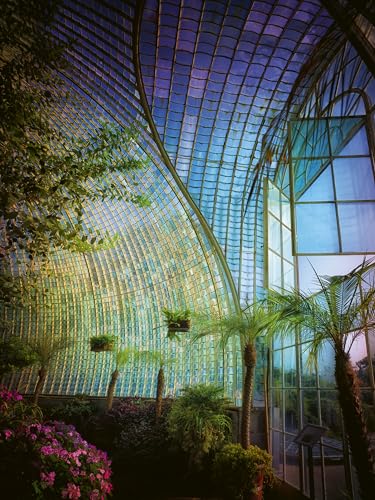 Werner Pawlok - Greenhouses : Cathedrals for Plants - Hardback image 5