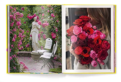 Anja Klaffenbach - Roses - Hardback image 7