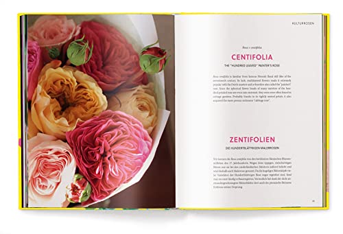 Anja Klaffenbach - Roses - Hardback image 8