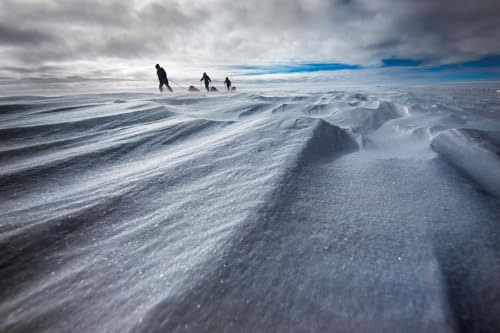 Joey Kelly - No Limits : 7 Continents. 100,000 Kilometers. 100 Challen image 4