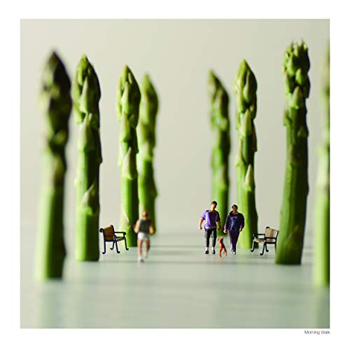 Tatsuya Tanaka - Small Wonders: Life Portrait in Miniature - Hardback image 2