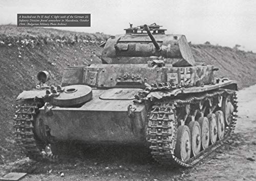 Kamen Nevenkin - From Bessarabia to Belgrade : An Illustrated Study of image 8