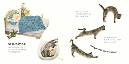 Radek Maly - Our Cat's Day - Hardback image 2