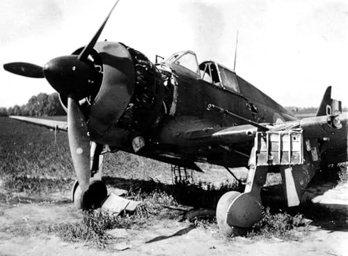 Tom Laemlein - Broken Wings: Captured & Wrecked Aircraft of the Blitzk image 2