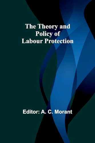 The Theory and Policy of Labour Protection