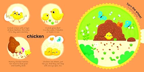 Yoyo Books - Farm Animals - Hardback image 2