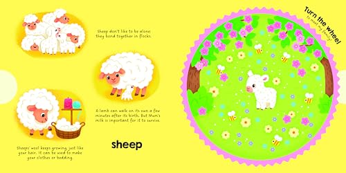 Yoyo Books - Farm Animals - Hardback image 3