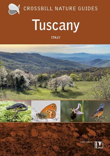 Graham Chisholm - Tuscany : Italy : 42 - Paperback image 1