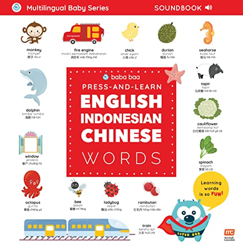 Press-and-Learn English Indonesian Chinese Words Sound Book - Hardback image 1