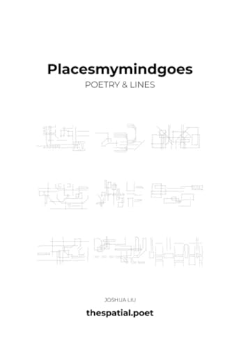 placesmymindgoes