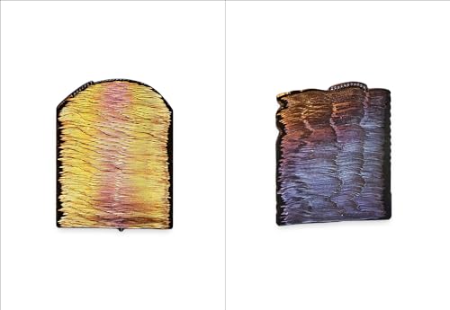 Nicolas Bos - Daniel Brush: Thinking about Monet - Hardback image 4