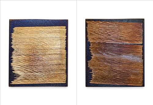 Nicolas Bos - Daniel Brush: Thinking about Monet - Hardback image 5