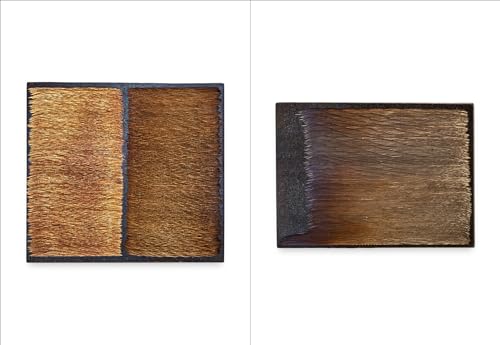 Nicolas Bos - Daniel Brush: Thinking about Monet - Hardback image 6