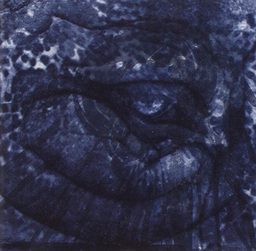 COMETS ON FIRE - BLUE CATHEDRAL - CD ALBUM image 1