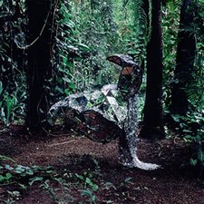 CSS - Donkey - CD image 1