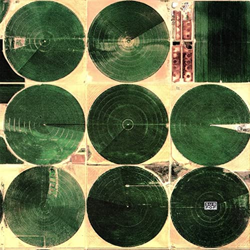 IRON & WINE - AROUND THE WELL - Vinyl Record 12" RECORD image 6