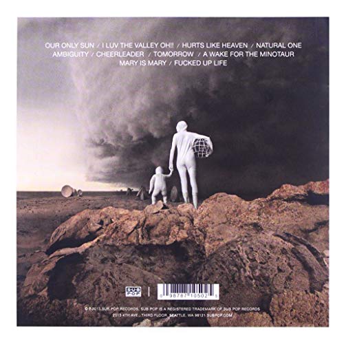 Shearwater - Fellow Travelers - CD image 2