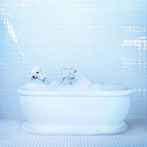Frankie Cosmos - Vessel - CD image 1