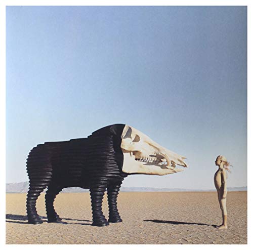 Man Man - Dream Hunting In the Valley of the In-Between - Vinyl Recor image 1