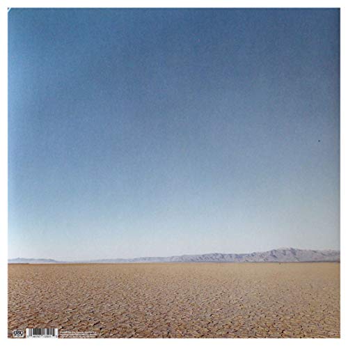 Man Man - Dream Hunting In the Valley of the In-Between - Vinyl Recor image 2