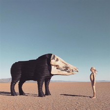 MAN MAN - DREAM HUNTING IN THE VALLEY OF THE IN-BETWEEN - CD ALBUM image 1