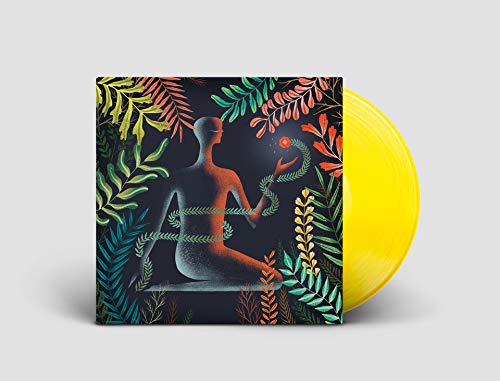Don't Shy Away - Vinyl Record image 2