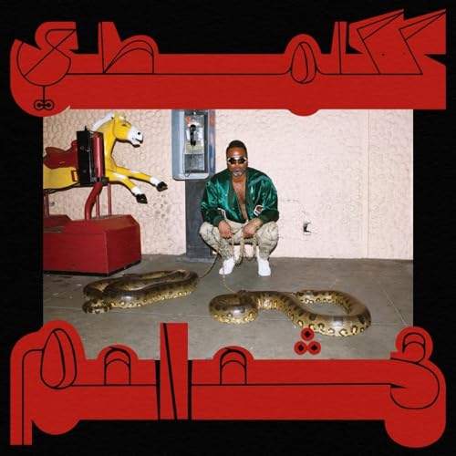 Shabazz Palaces - Robed in Rareness LPLOSER EDITION - Red vinyl  RELE image 1