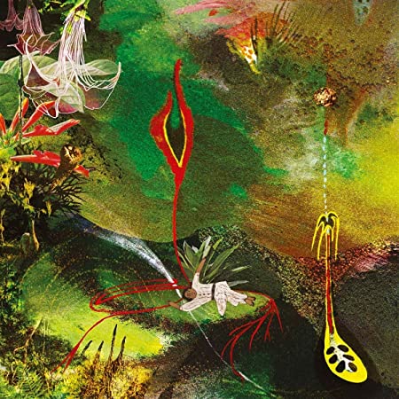 TELLO TOMAS - CIMORA - Vinyl Record image 1