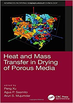 Heat and Mass Transfer in Drying of Porous Media