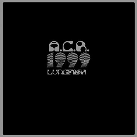 LUNGFISH - ACR 1999 - Vinyl Record image 1