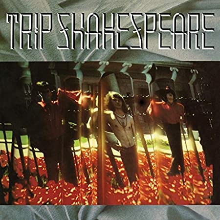 Trip Shakespeare - Applehead Man - Vinyl Record VINYL image 1