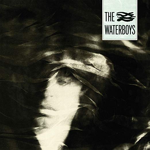 Waterboys - A Pagan Place - Used Vinyl Record image 1