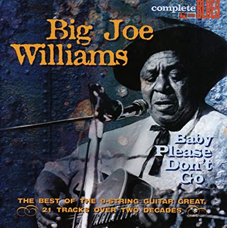 Big Joe Williams - Baby Please Don't Go - CD image 1