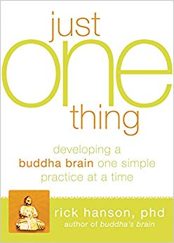 Just One Thing : Developing A Buddha Brain One Simple Practice at a Time