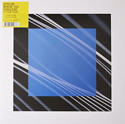 Skream - Where You Should Be - Vinyl Record 12" image 1