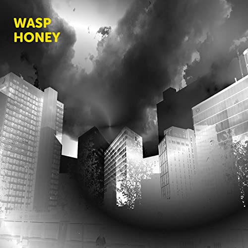 WASP HONEY