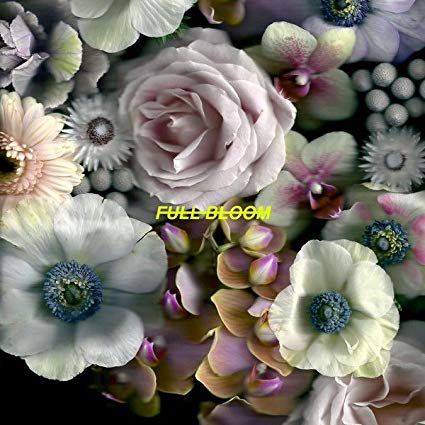 Alpines - Full Bloom - Vinyl Record image 1