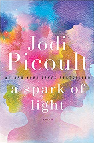 A Spark of Light : A Novel