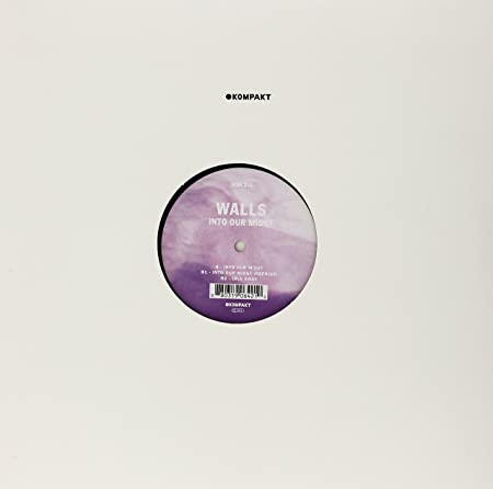 Walls - Into Our Midst - Vinyl Record 12" image 1