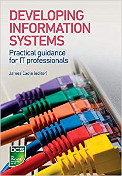 Developing Information Systems : Practical guidance for IT professionals