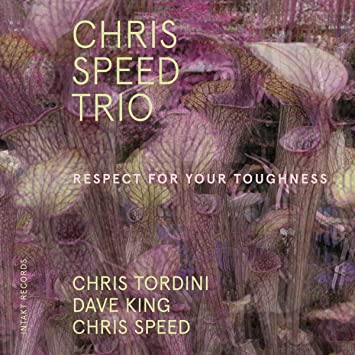 SPEED CHRIS TRIO - RESPECT FOR YOUR TOUGHNESS - CD image 1