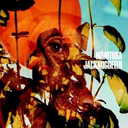Manitoba - Jacknuggeted - Vinyl Record 12 image 1