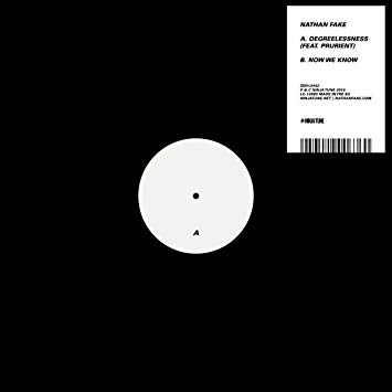 Nathan Fake - Degreelessness - Vinyl Record 12" image 1